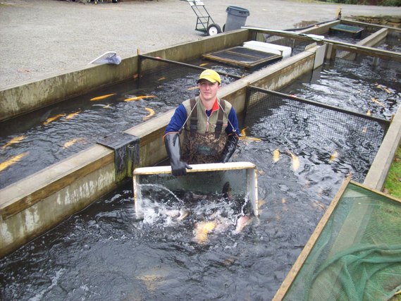 Fish Farming - Fishing Sustainability